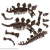 Dinosaur 3D Puzzle 10'' Assorted Paleo Dino Skeletons EA Open The Egg And Construct One Of 4 Different Dinosaurs B079P676V2